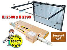 Doorhan RSD-01S 2500х2390 мм (зол. дуб)
